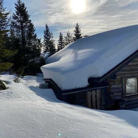 Villa Saarua By The Slopes Ski In, Family & Bike Park, Hike Trails, National Park, Wifi - Lapland Villas รูกา ภายนอก รูปภาพ