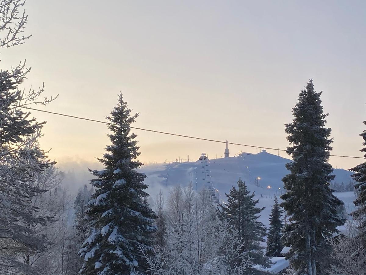 Villa Saarua By The Slopes Ski In, Family & Bike Park, Hike Trails, National Park, Wifi - Lapland Villas รูกา ภายนอก รูปภาพ