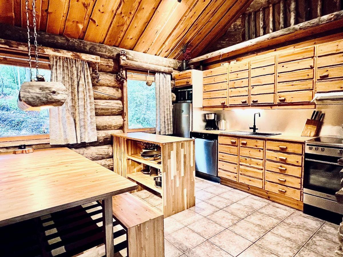 Villa Saarua By The Slopes Ski In, Family & Bike Park, Hike Trails, National Park, Wifi - Lapland Villas รูกา ภายนอก รูปภาพ