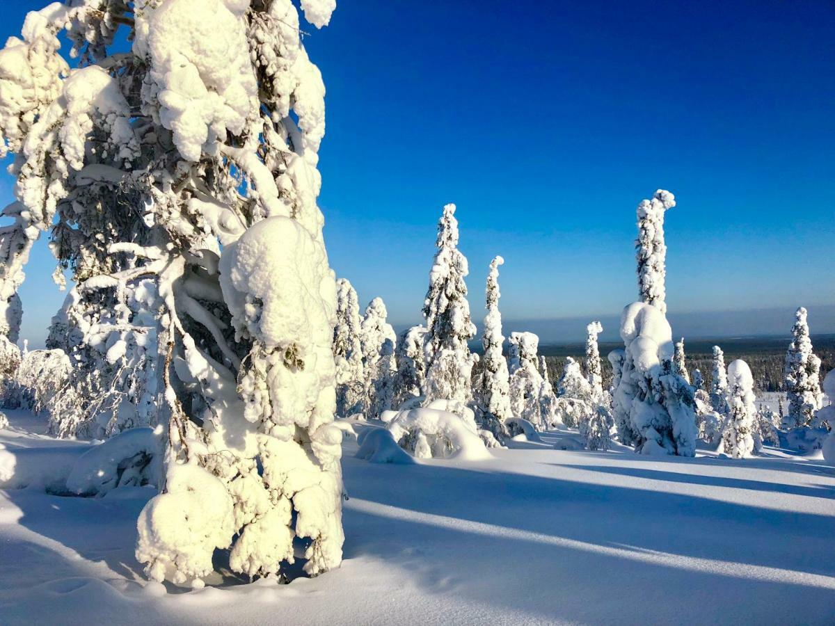 Villa Saarua By The Slopes Ski In, Family & Bike Park, Hike Trails, National Park, Wifi - Lapland Villas รูกา ภายนอก รูปภาพ